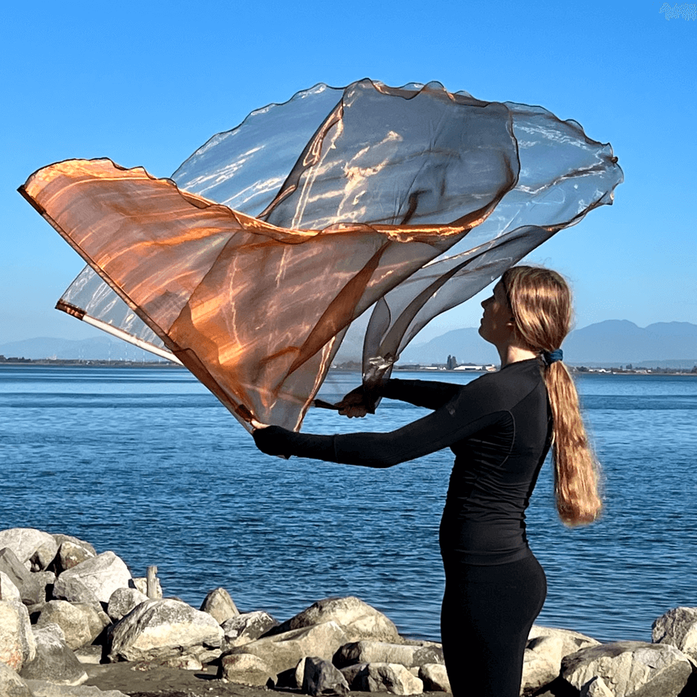 Bronze Sheer Travel Worship Flags