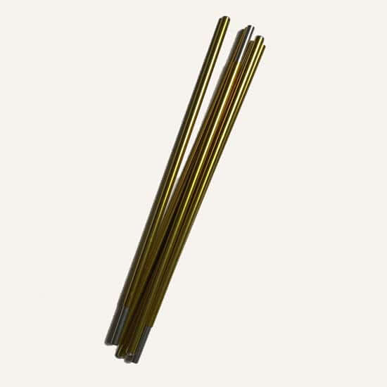 Interchangeable Travel Poles