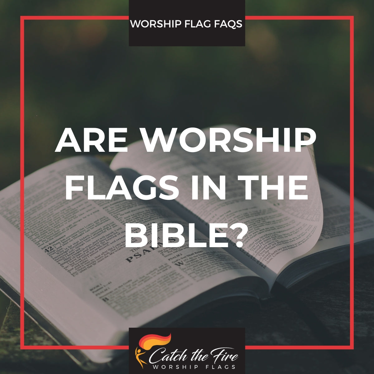Are Worship Flags in the Bible?